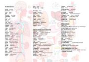 English Worksheet: Human body, illnesses,  treatment