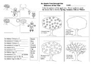 English Worksheet: seasons