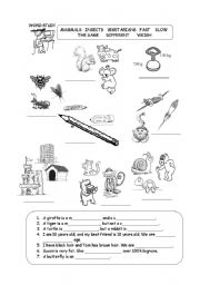 English worksheet: elephants