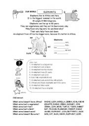 English Worksheet: elephants