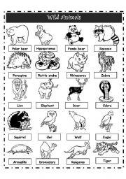 English Worksheet: WILD ANIMALS PICTIONARY
