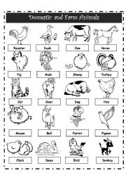 English Worksheet: Domestic/farm animals pictionary