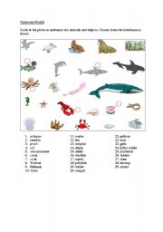 English Worksheet: Undersea world (vocabulary)