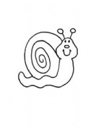 English worksheet: snail