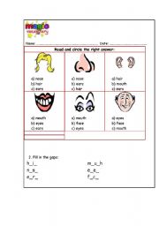 English worksheet: THE FACE