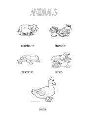 English worksheet: Colour the animals 