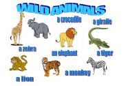 English worksheet: Animals 