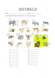 English Worksheet: African Animals
