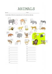 English worksheet: African Animals