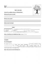 English worksheet: Trees Review