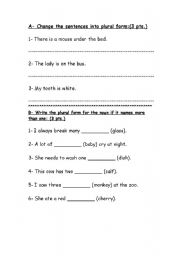 English Worksheet: Plural Test
