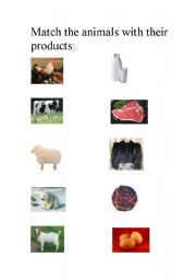 English worksheet: Animals and their products.