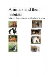 English Worksheet: Animals habitat.