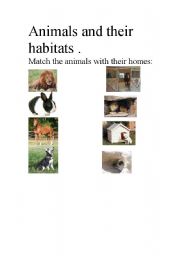 English worksheet: Animals habitat.