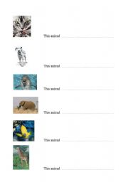 English worksheet: this animal can... (verb of your choice)