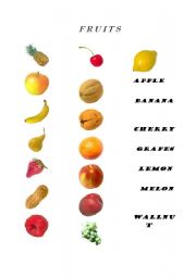 English worksheet: FRUITS