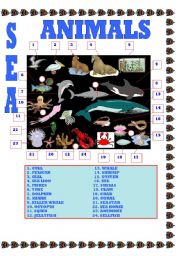 English worksheet: SEA ANIMALS