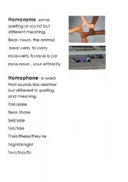 English worksheet: Homophones or Homonyms?