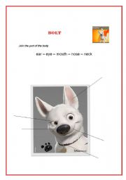 English Worksheet: bolt