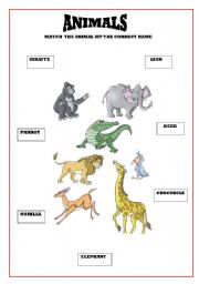 English worksheet: ANIMALS