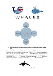 English worksheet: WHALES