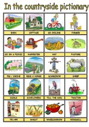 English Worksheet: IN THE COUNTRYSIDE PICTURE DICTIONARY