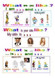 English Worksheet: HUMAN  DESCRIPTIONS