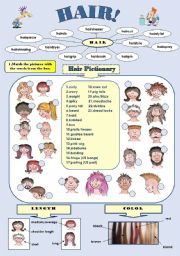 English Worksheet: HAIR! - fun vocabulary set: hair pictionary and hair idioms/2 pages with answer keys