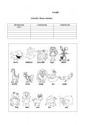 English worksheet: animals