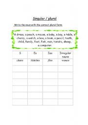English worksheet: singular and plural 