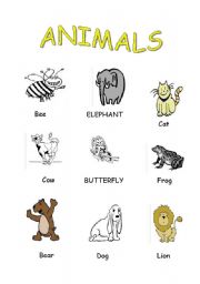 English worksheet: animals (p.d)