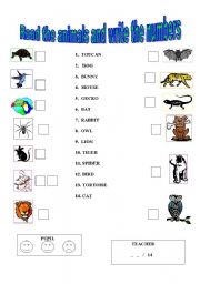 English Worksheet: AN EASY  READING TEST :  ANIMALS