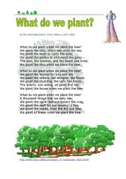 English Worksheet: What do we plant ?