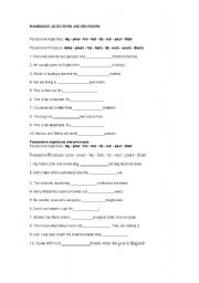 English Worksheet: Possessive adjectives and pronouns