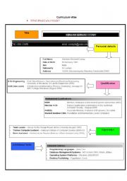 elements of a Curriculum Vitae 