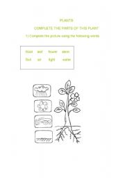 English worksheet: Plants