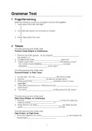 English Worksheet: Grammar Test