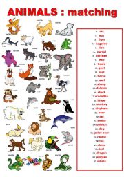 English Worksheet: animals matching