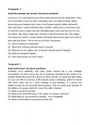 English Worksheet: comprehension passages 