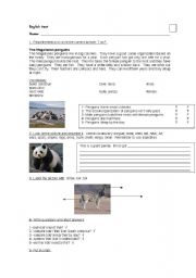 English Worksheet: English test about animals