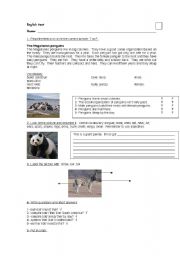 English worksheet: English test about animals