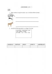 English worksheet: QUIZ ABOUT ANIMALS