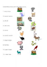 English Worksheet: Animal Sounds