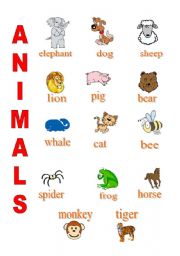 English worksheet: animal