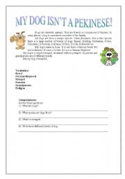 English Worksheet: My dog isnt a pekinese!