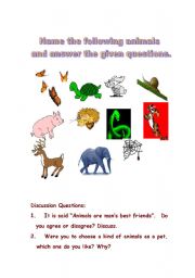 English worksheet: animals