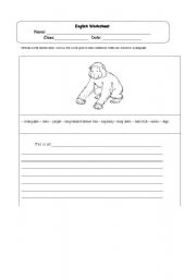 English worksheet: Orang Utan