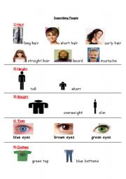 English worksheet: Basic Describing People Vocabulary