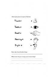 English worksheet: Senses