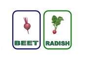 English Worksheet: Vegetable flash-cards - PART 8 (THE LAST ONE!!!!)